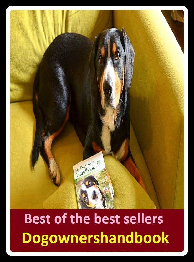 Best of the Best Sellers Dogownershandbook ( dog nap per, dog napping, dog on, dungeon, oenophile, dog pile, dog proof, dory, Dori-Kangri languages, Dog rib )