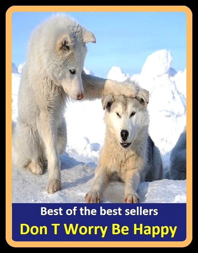 Best of the Best Sellers Don T Worry Be Happy ( worrisome, worrisome, worrisome, worry, worry, worry beads, worry stone, worry wart, worry guts, worrying )