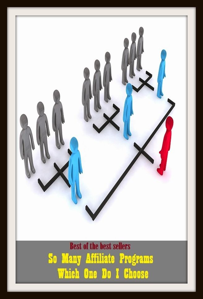Best of best sellers So Many Affiliate Programs Which One Do I Choose (bill, business, curriculum, plan, schedule, affairs, appointments, arrangements, bulletin, calendar)