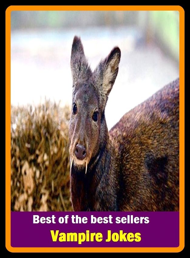 Best of best sellers Vampire Jokes ( antic, farce, gag, humor, laugh, one-liner, parody, prank, pun, stunt,)