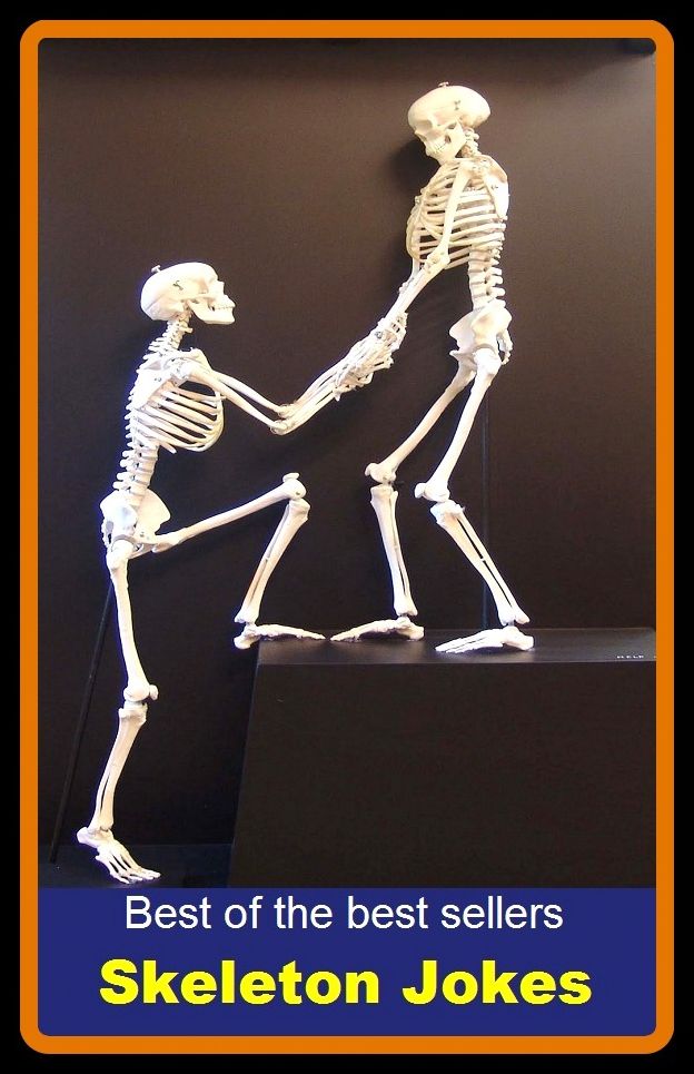Best of best sellers Skeleton Jokes ( antic, farce, gag, humor, laugh, one-liner, parody, prank, pun, stunt,)