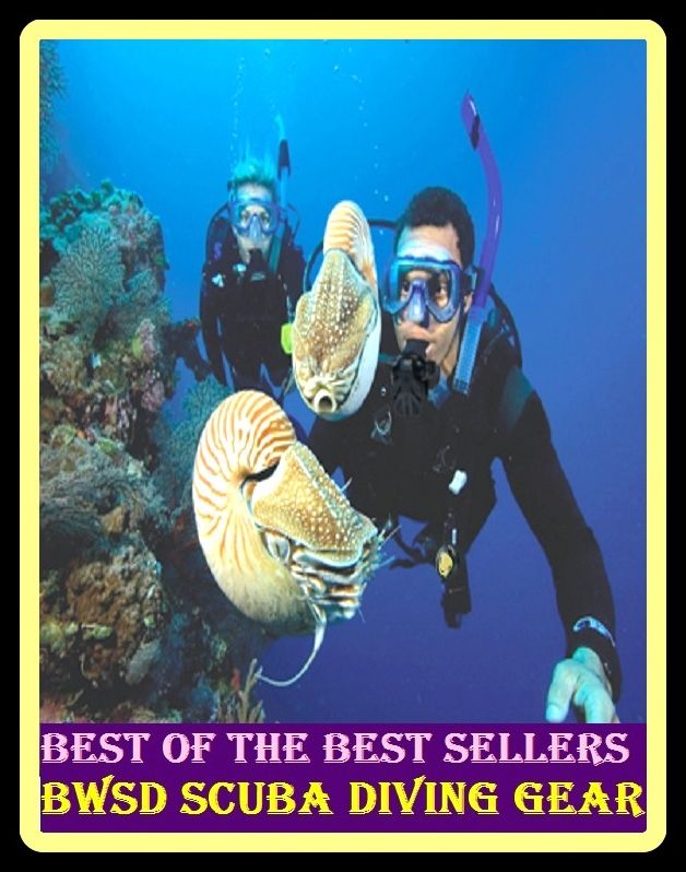 Best of the Best Sellers Bwsd Scuba Diving Gear (submersion, dipping, diving, immersion, ablution, sinking , go in, dip)