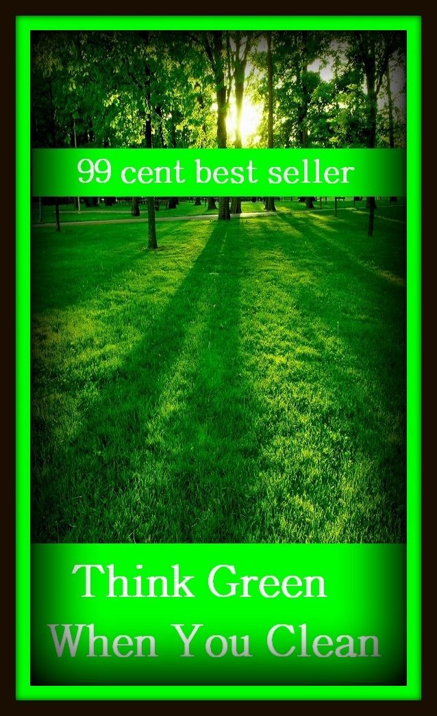 99 Cent Best Seller Think Green When You Clean ( families, household, familial, domestic, relatives, households, dynasty, home, familiar, household-type, family-run, family-related, family-owned, kin, family-based, marital, clan, parents )