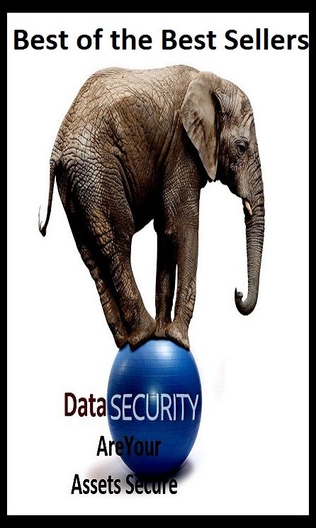 Best of the Best Sellers Data Security Are Your Assets Secure (data rate, data recovery, data robotics, data scraping, data security, data set, data smoothing, data store, data stream, data structure)