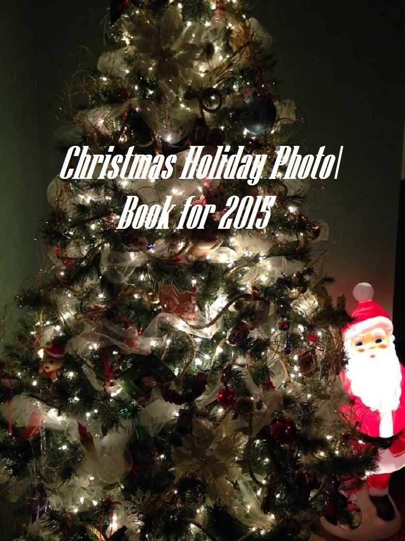 Christmas Book: Christmas Kids Photo Books 774 (Christmas, Holiday, Religion, Christ, Christian, Santa, North Pole, Reindeer, Star, Ornaments, Christmas Tree)