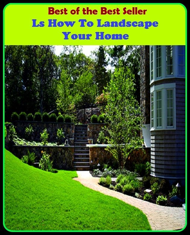 Best of The Best Sellers	Ls How To Landscape Your Home (central, familiar, family, household, local, national, native, at ease, at rest, down home)