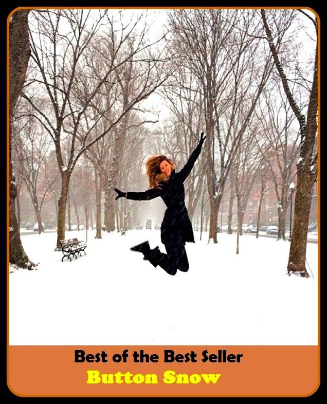 Best of the Best Sellers Button Snow (knob, clasp, frog, catch, stud, fastening, switch, room, groove)