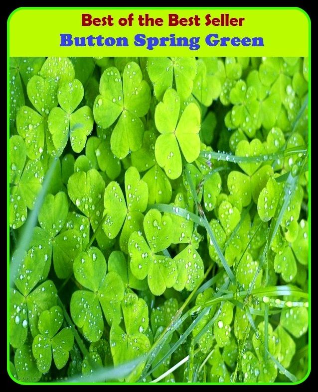 Best of the Best Sellers Button Spring Green (knob, clasp, frog, catch, stud, fastening, switch, room, groove)