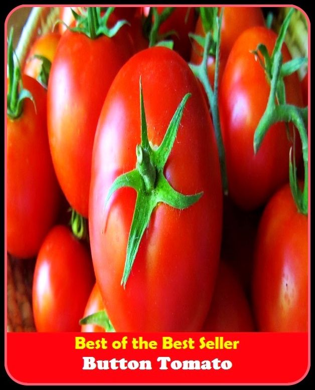 Best of the Best Sellers Button Tomato (knob, clasp, frog, catch, stud, fastening, switch, room, groove)