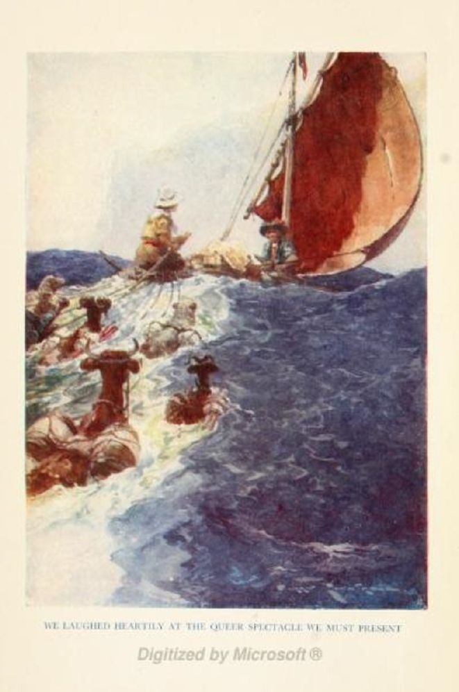 The Swiss Family Robinson (Illustrated)