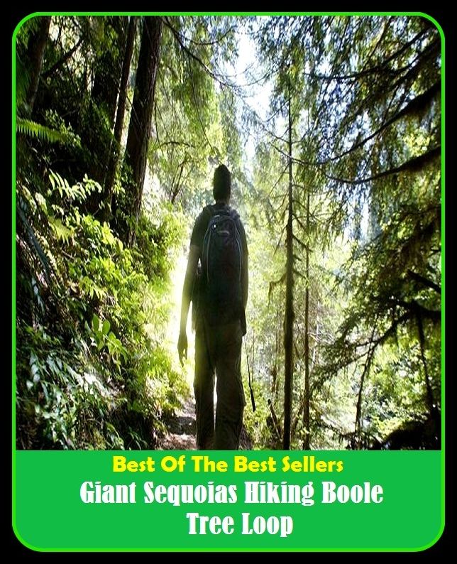 Best of the Best Sellers Giant Sequoias Hiking Boole Tree Loop (giant salamander, giant scallop, giant schnauzer, giant scrambling fern, giant sequoia, giant silkworm, giant silkworm moth, giant slalom, giant squid, giant star)