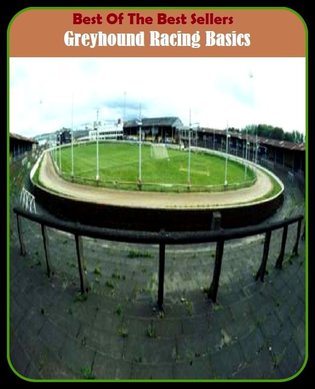 Best of the Best Sellers Greyhound Racing Basics ( grey back, greybeard, greybeard, greyhound, greyhound racing, greyish, greyish brown, greyish, greyish, grey lag )
