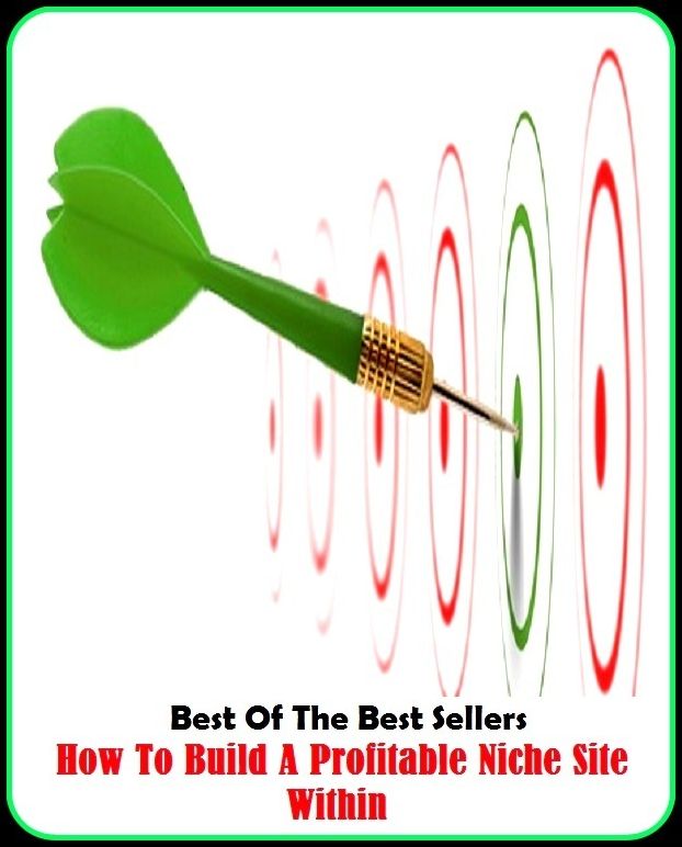 Best of the Best Sellers How To Build A Profitable Niche Site Within (birthstone, boo, Buick, build, build a better mousetrap, build castles in the air, build in, build into, build on, build up)