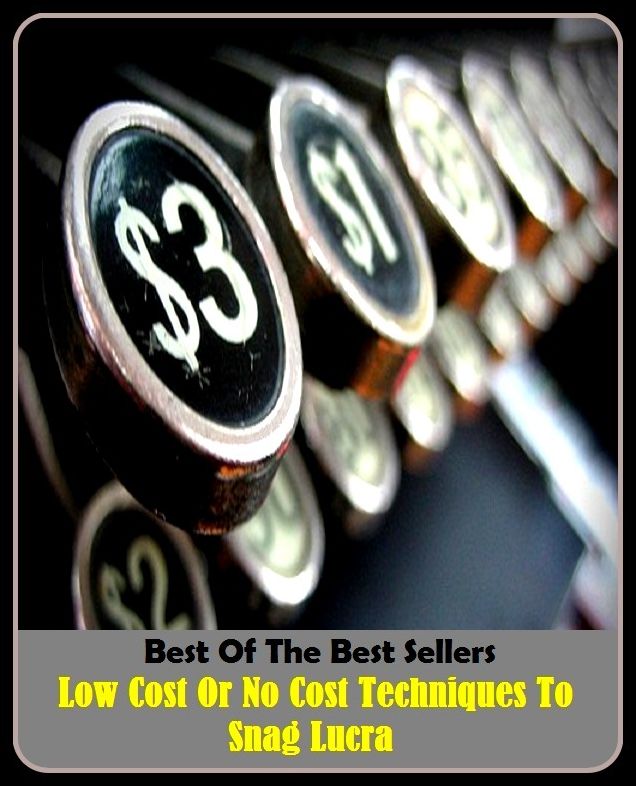 Best of the Best Sellers Low Cost Or No Cost Techniques To Snag Lucra (low brass, low c, low church, low comedy, low cost carrier, low countries, low country, low culture, low deciles, low density)