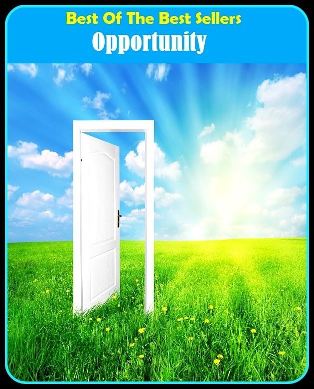 Best of the Best Sellers Opportunity (luck, fortune, prospect, chance, opportunity, probability, hazard)