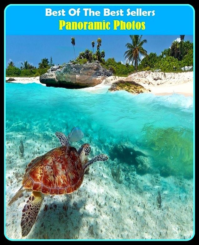 Best of the Best Sellers Panoramic Photos (panto, panorama, panorama9, panoramic, panoramic camera, panoramic sight, panoramic view, panoramic, panoramic ally, oration holdings)