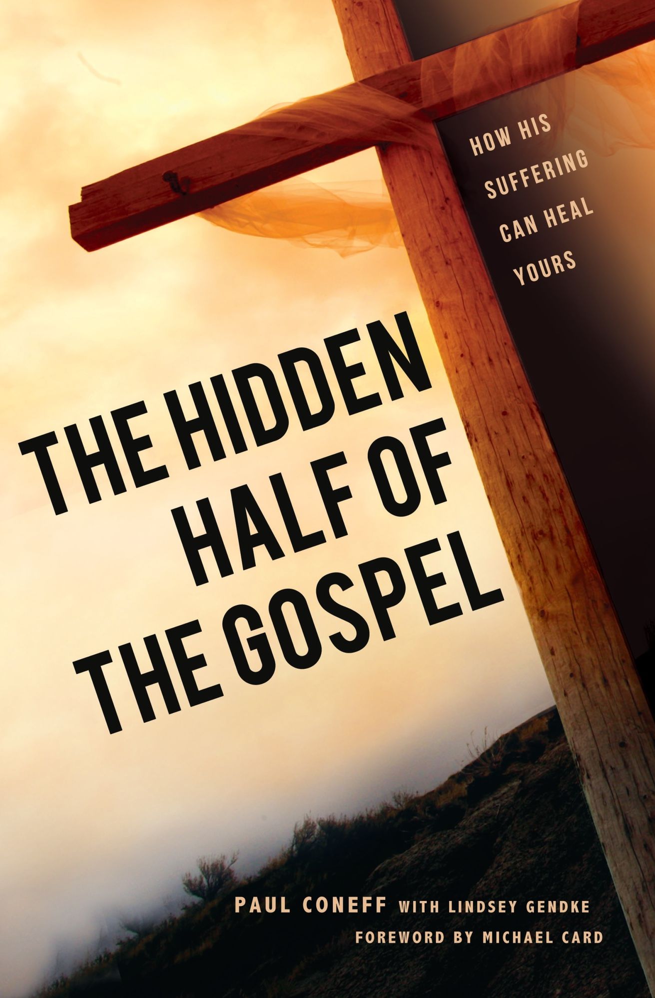 The Hidden Half of the Gospel: How His suffering can heal yours