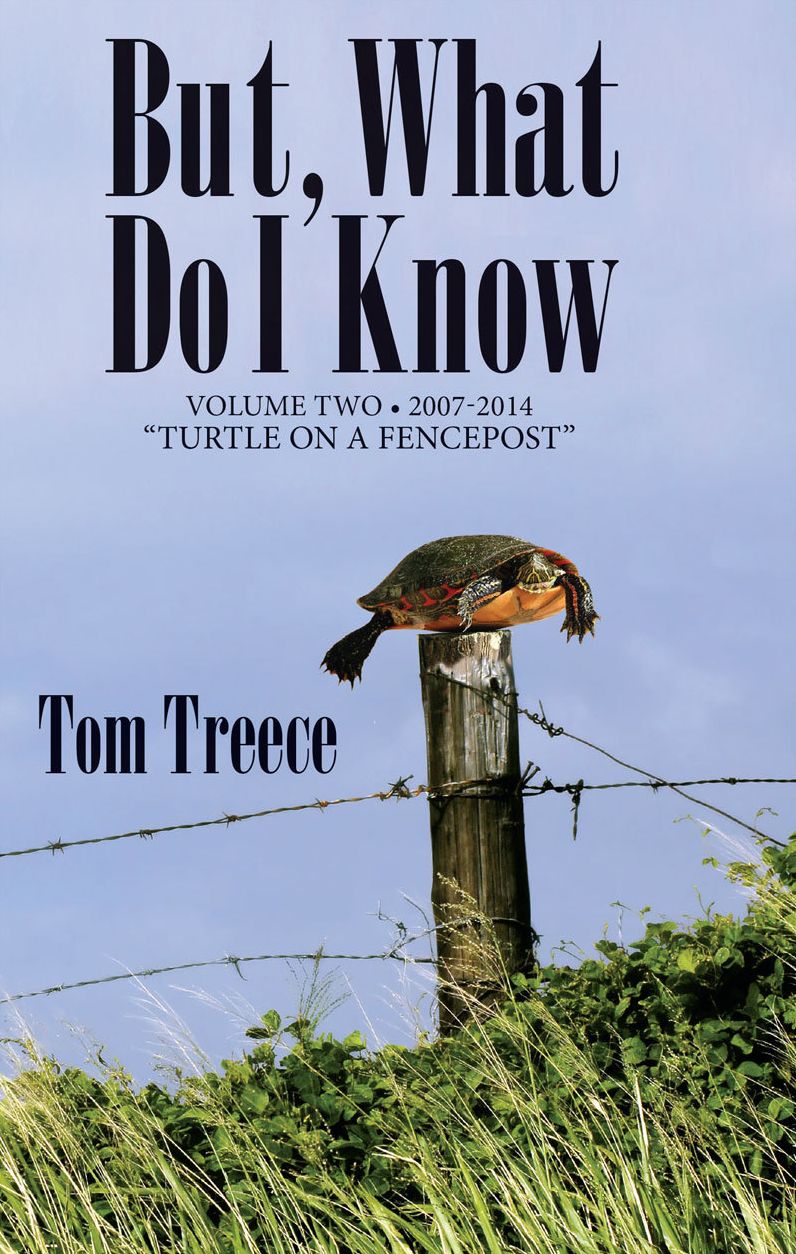 But What Do I Know? Vol. 2