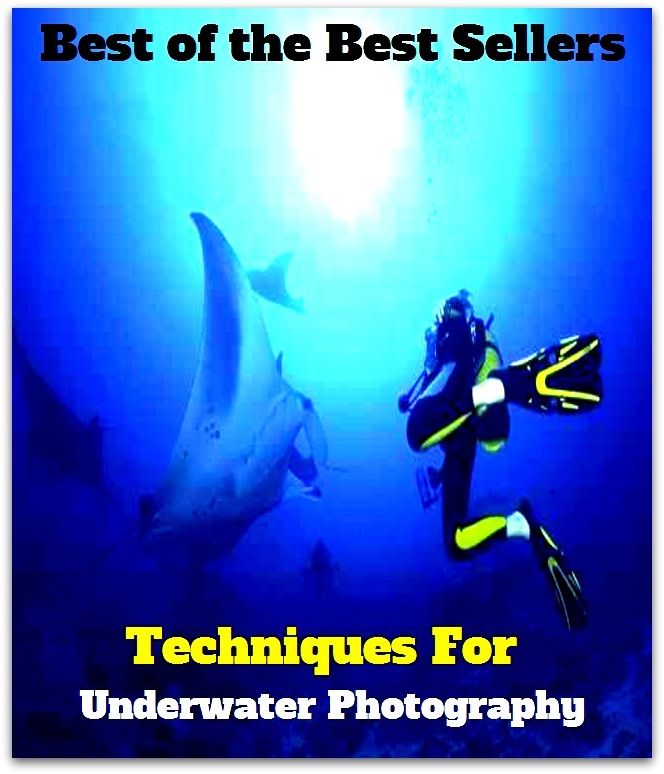 Best of the Best Sellers Techniquesfor Underwater Photography (Technicolor, technophobic, technique, technique, techniques, technique wise, technician schedule, technician Othilie, techniques Hilfiger, catechism)