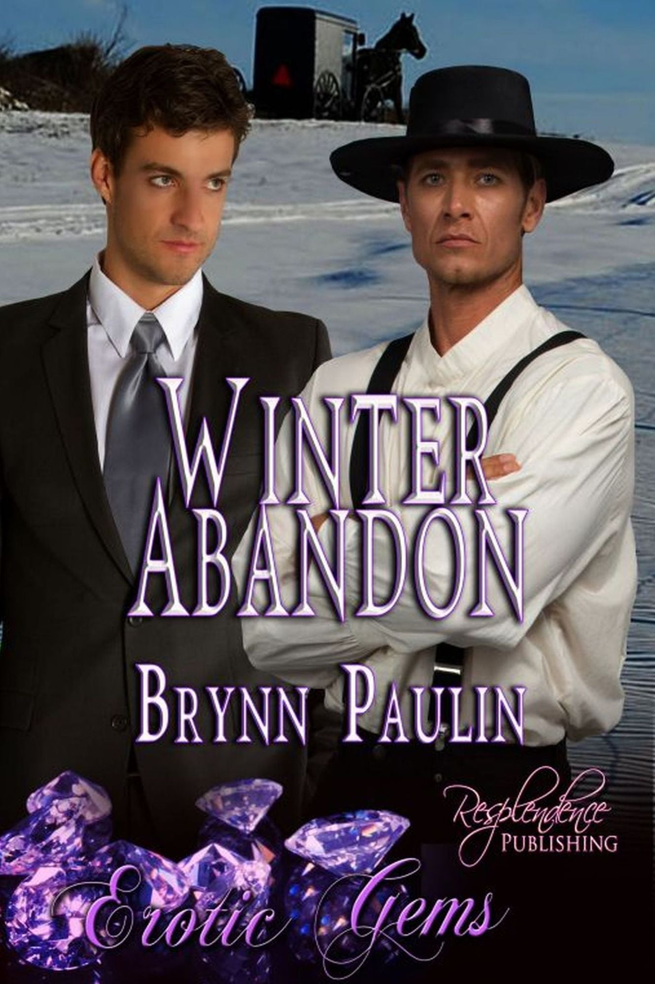 Winter Abandon (Gay Romance) (Erotic Gems Signature Line) by Brynn Paulin