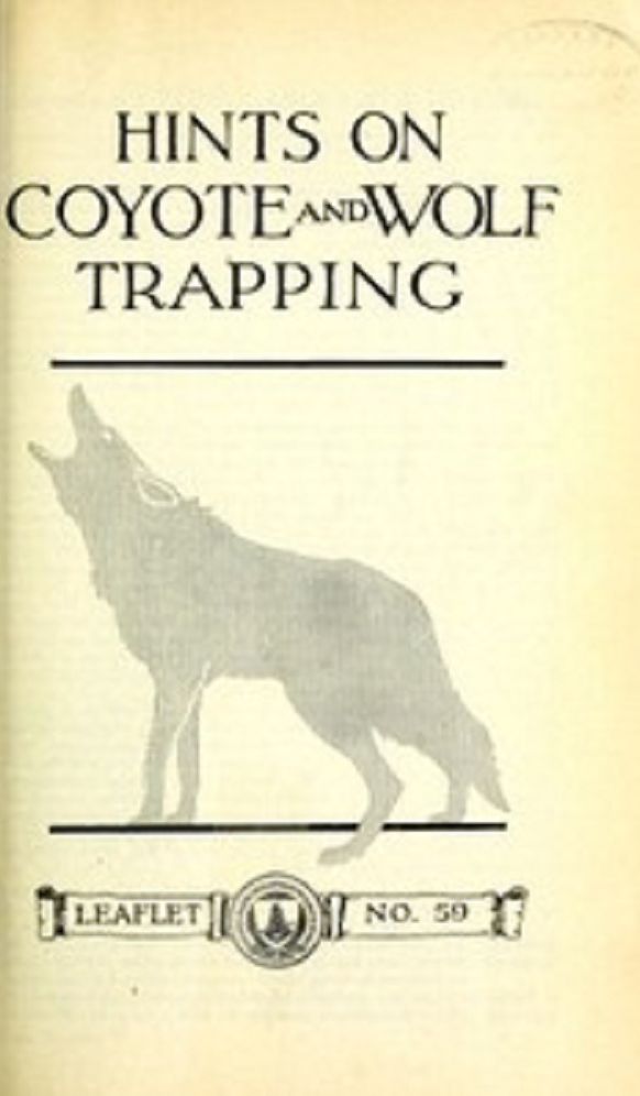Wolf and Coyote Trapping