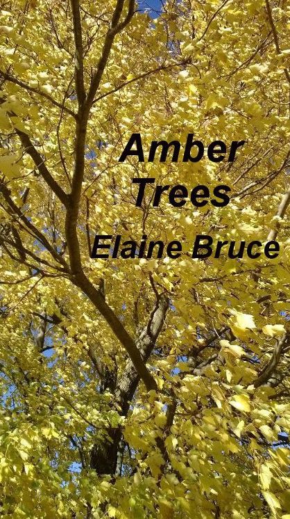 Amber Trees