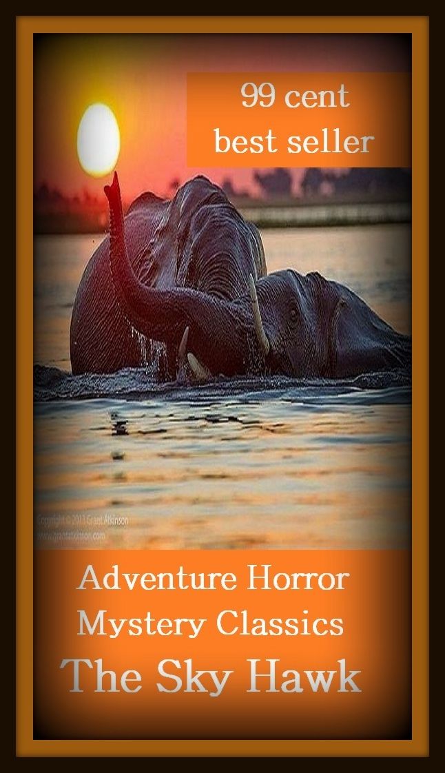 99 cent best seller Adventure, Horror, Mystery Classics Best Seller's for 99 Cents The Sky Hawk (Mystery, romance, action, adventure, war thriller, horror, thriller, suspense, Dracula, vampire, devil, hell, death )