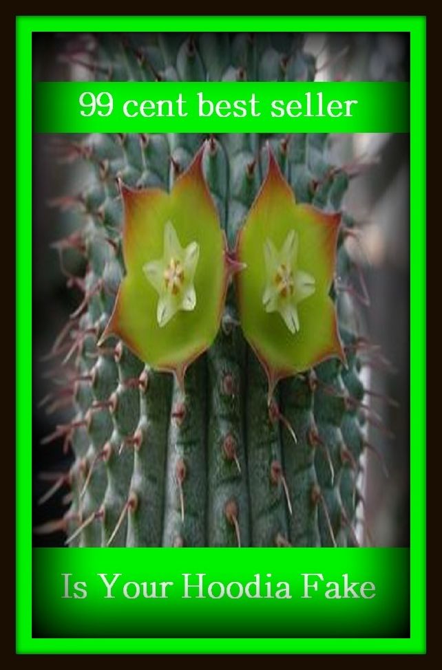 99 Cent Best Seller Ias Your Hoodia Fake (bogus, counterfeit, fabricated, fictitious, forged, fraudulent, mock, phony, spurious, affected, assumed, concocted, invented, make-believe.)