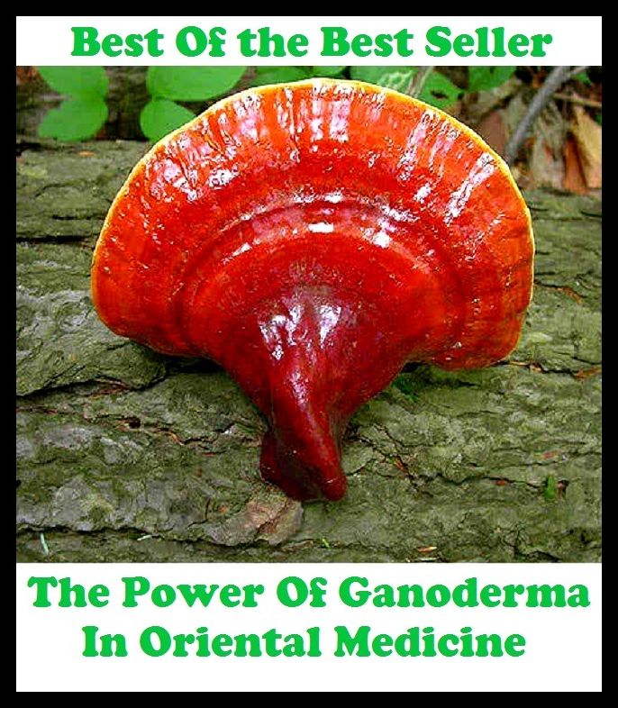 Best of the best sellers The Power Of Ganoderma In Oriental Medic ( exercise, meditation, acupuncture, disease, digestive system, formula, medicine, remedy, fix, treatment, action, conduct, behavior, handling, gastrin, fitness )