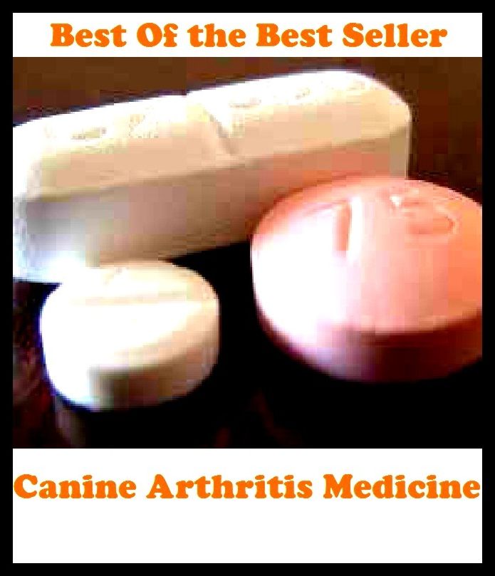 Best of the best sellers Canine Arthritis Medicine ( exercise, meditation, acupuncture, disease, digestive system, formula, medicine, remedy, fix, treatment, action, conduct, behavior, handling, gastrin, fitness, vitamins, healing )
