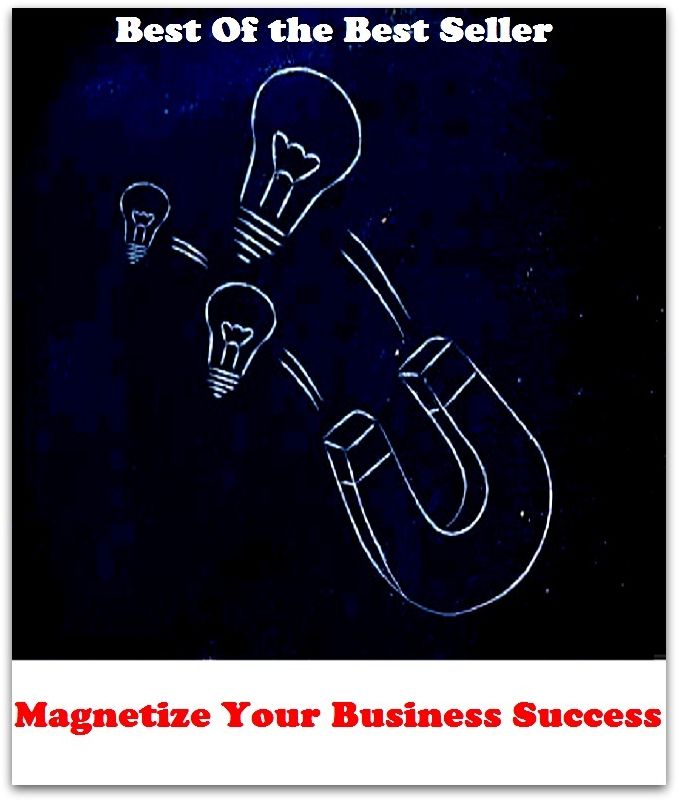 Best of the best sellers Magnetize Your Business Success ( business, employment, field, trade, work, bag, biz, calling, career, craft, dodge, function, game, line, livelihood, occupation, vocation )