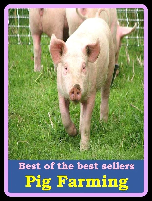 Best of the best sellers Pig Farming ( commonwealth, res publica, estate, landed estate, ground, agriculture, nation, soil, kingdom, solid ground, state, dry land, realm, land, husbandry, country, farming, acres, demesne, earth )