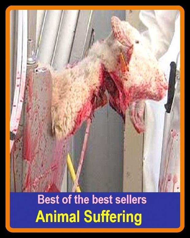 Best of the best sellers Animal Suffering (animal skin, animal spirits, animal starch, animal structures, animal stiffer, animal technicians, animal testing, animal testing alternatives, animal tissue, animal toxin)