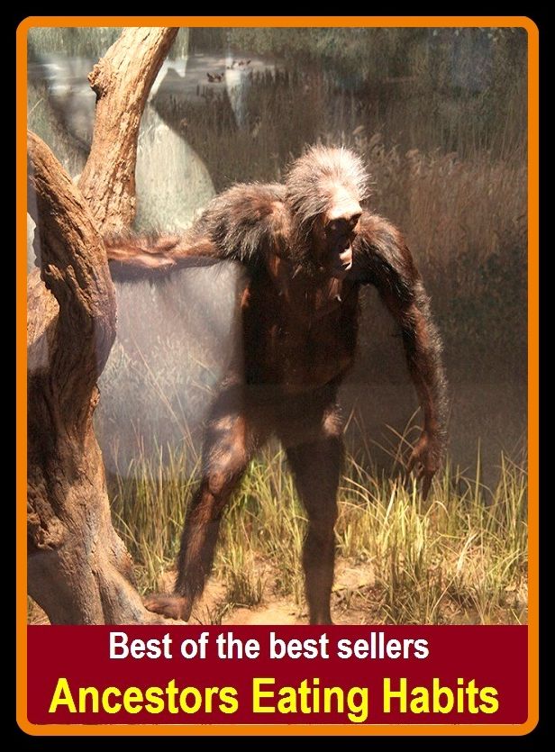 Best of the best sellers Ancestors Eating Habits ( ancestor worship, ancestor-worship, ancestor, ancestrally, ancestors, ancestors night, ancestral, ancestral chart, ancestrally, ancestress)