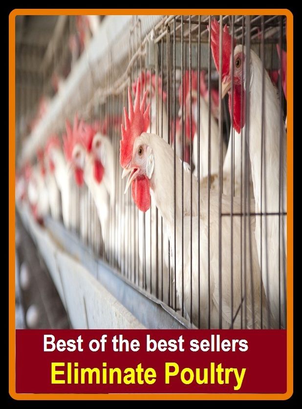 Best of the best sellers Eliminate Poultry (elm, climate, eliminate, eliminate, eliminate, eliminated, eliminating, elimination, elimination diet, elimination disorders)