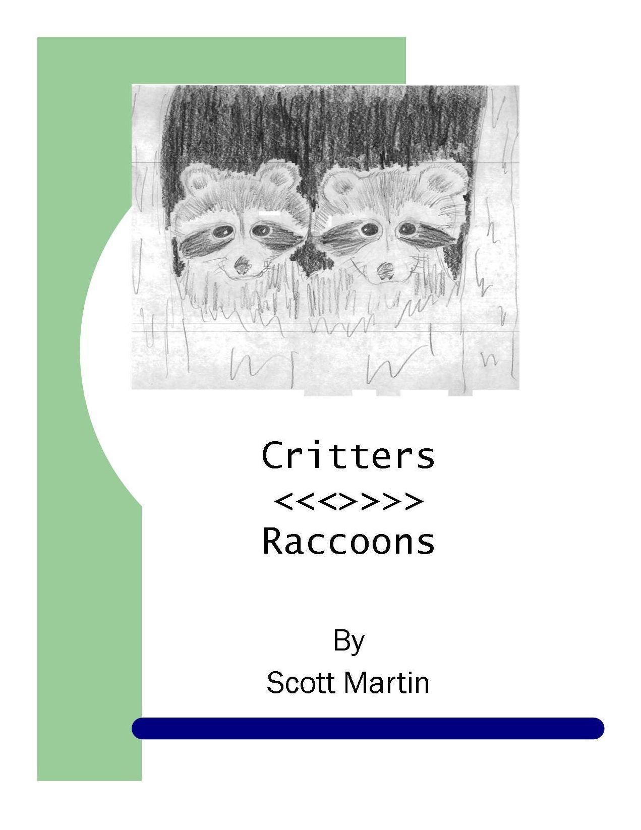 Critters - Raccoons