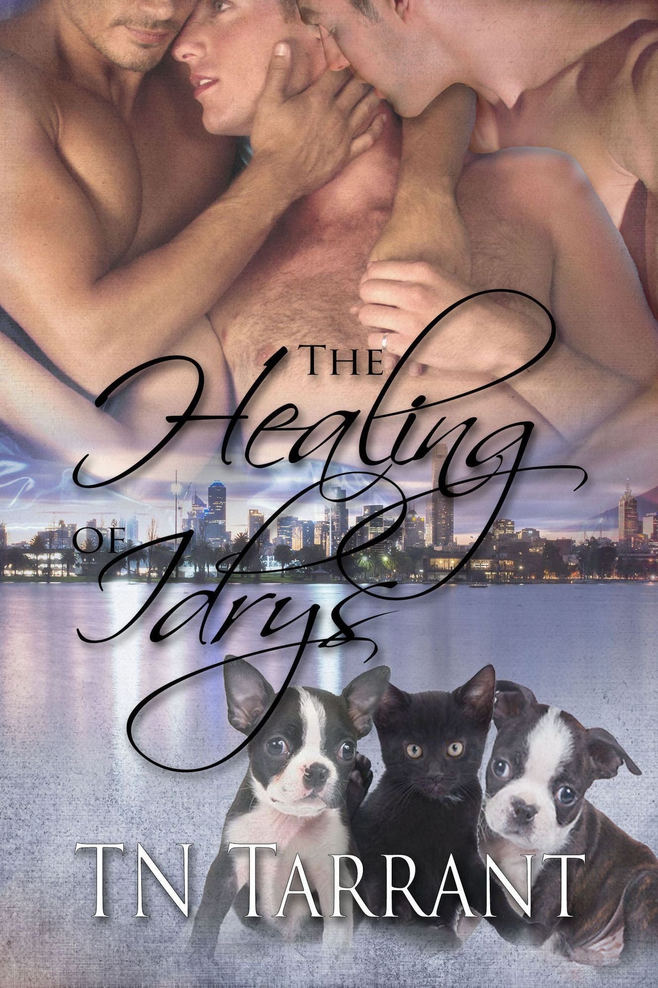 The Healing of Idrys