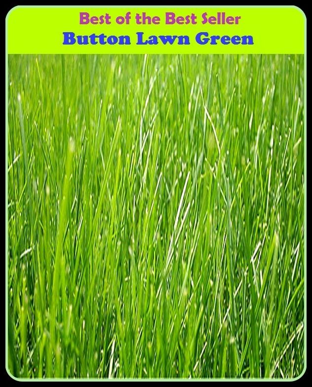 Best of the Best Sellers Button Lawn Green ( fastener, stud, toggle, hook, catch, clasp, snap fastener, pin, switch )