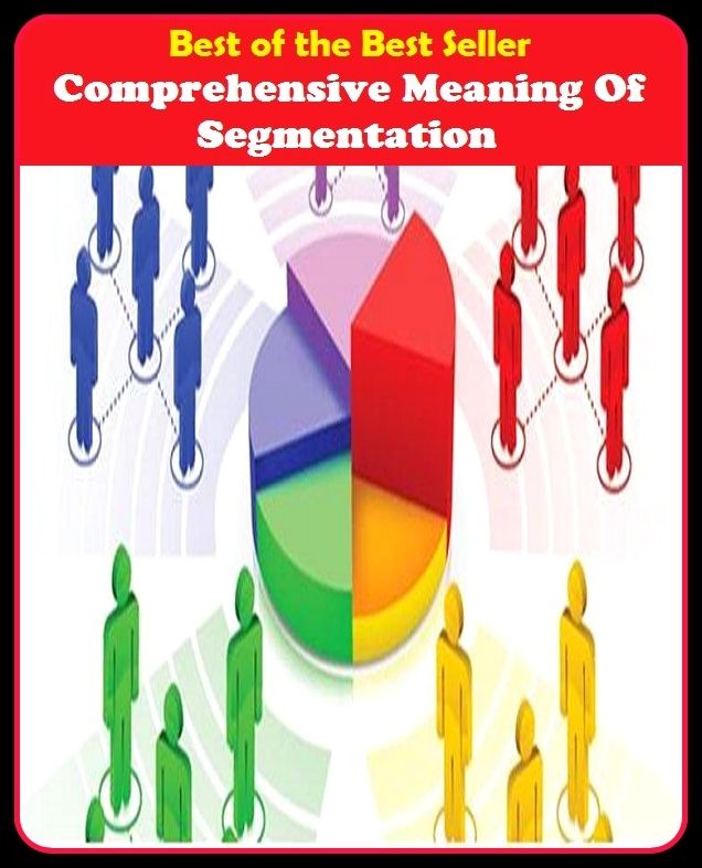 Best of the Best Sellers Comprehensive Meaning Of Segmentation (any, section, bite, bunk, chunk, sector, branch, ingredient, component)