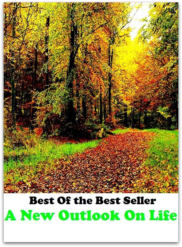 Best of the best sellers A New Outlook On Life ( essay, paper, thesis, dissertation, composition, article, treatise, theory, idea, hypothesis )