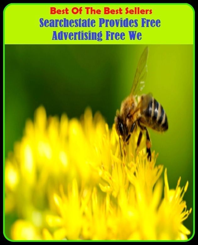 Best of the Best Sellers Searchestate Provides Free Advertising Free We (searched channel, searcher, searcher, searcher beetle, searcher, search force, searching' (i gotta find a man), searching, searching fire, searchingly)