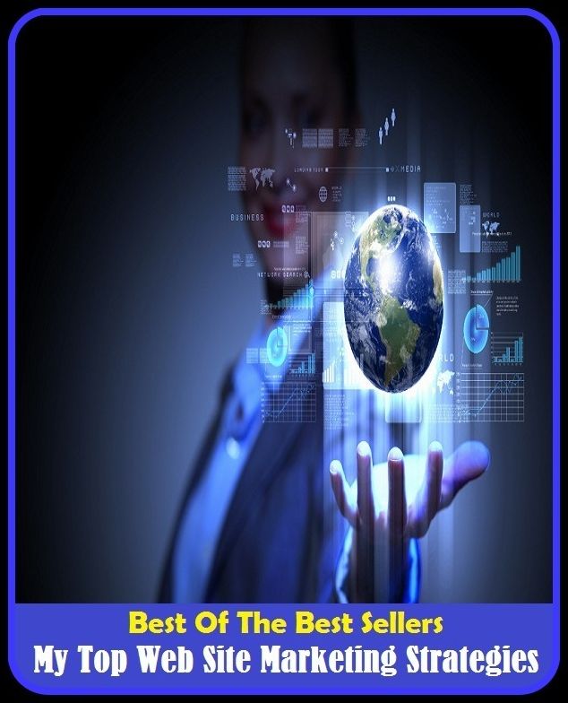Best of the Best Sellers My Top Web Site Marketing Strategies (my source box, my star, my stories, my team zone, my top 10, my true fit, my way, my wife, my word, my word!)