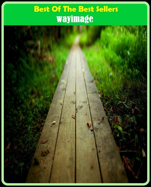 Best of the Best Sellers wayimage (wayfarers, wayfaring, wayfaring tree, way finding, way gate, wain, way, waylaid, Wayland, Wayland the smith)