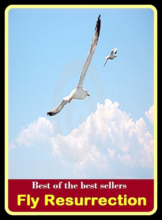 Best of the Best Sellers Fly Resurrection ( travel through the air, wing its way, wing, glide, soar, wheel, hover, hang, take wing, take to the air, mount )