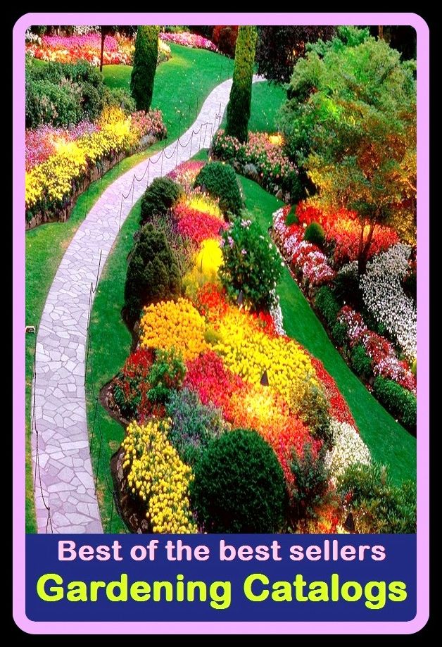 Best of The Best Sellers	Gardening Catalogs (back yard, bed, field, greenhouse, nursery, patio, terrace, conservatory, enclosure, hothouse)