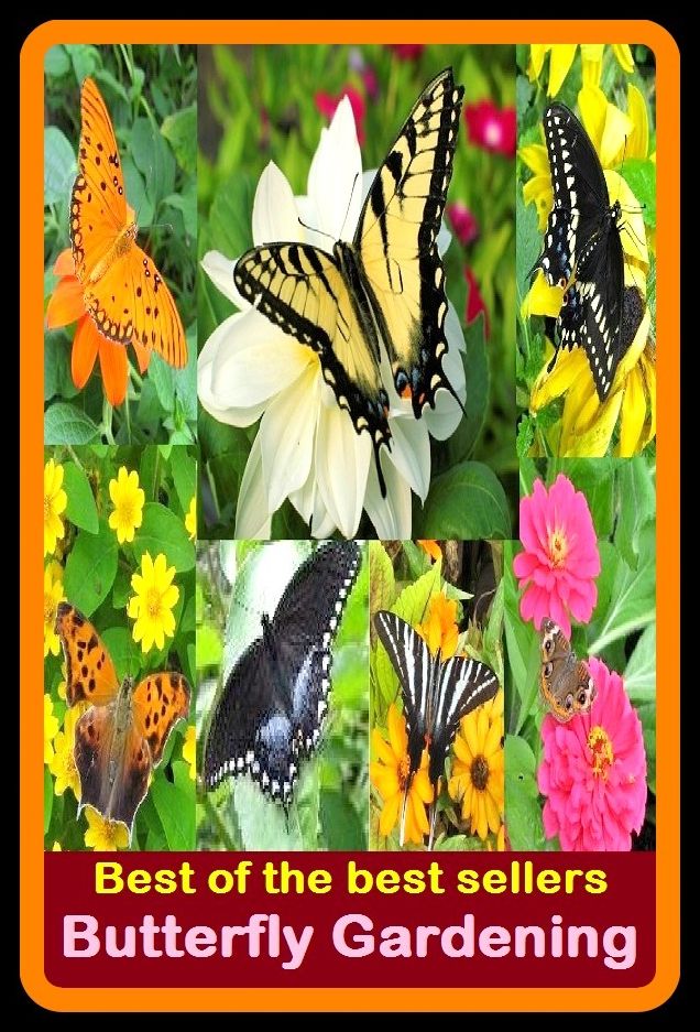 Best of The Best Sellers	Butterfly Gardening (back yard, bed, field, greenhouse, nursery, patio, terrace, conservatory, enclosure, hothouse)