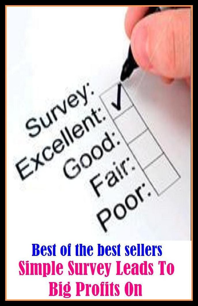 Best of the Best Sellers Simple Survey Leads To Big Profits On (look at, look over, observe, view, contemplate, regard, gaze at, stare at, eye, scrutinize)