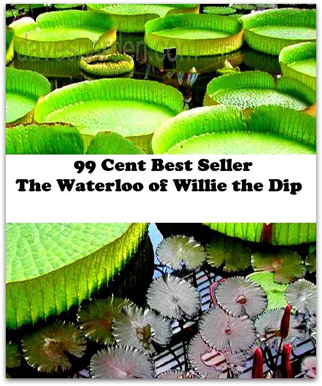 Detective Fiction: Adventure, Horror, Mystery Classics Best Seller's for 99 Cents The Waterloo of Willie the Dip (adventure, fantasy, romantic, action, fiction, science fiction, amazing )