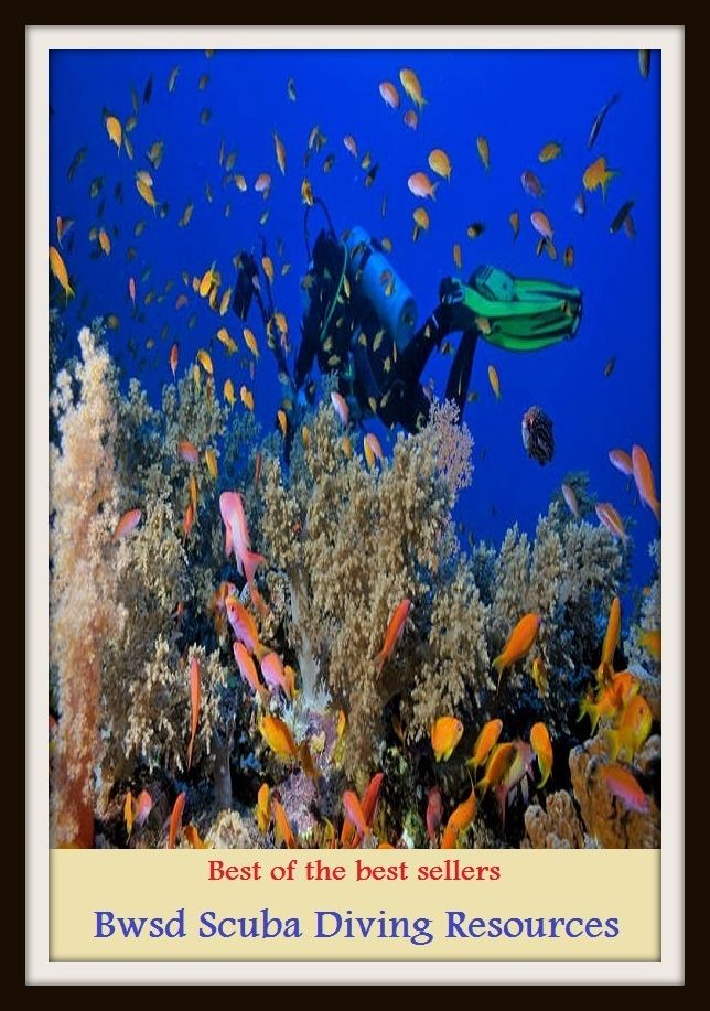 Best of the Best Sellers Bwsd Scuba Diving Resources (submersion, dipping, diving, immersion, ablution, sinking , go in, dip , drop , jump)