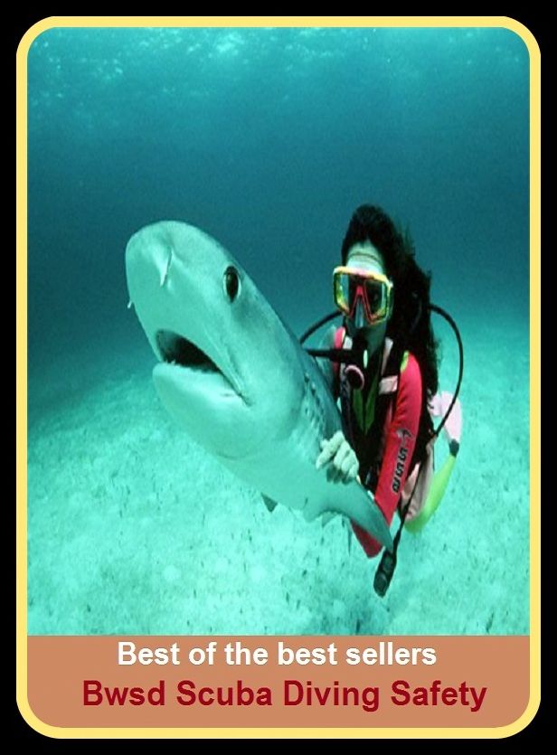 Best of the Best Sellers Scuba Diving Safety (submersion, dipping, diving, immersion, ablution, sinking , go in, dip , drop , jump)